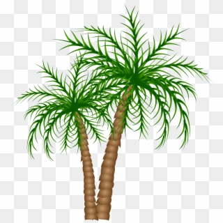 Palm Trees Png Clipart Picture - Palm Tree Clipart Transparent Background