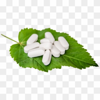 White Pills On A Leaf Png Image - L Cysteine Market Research Clipart