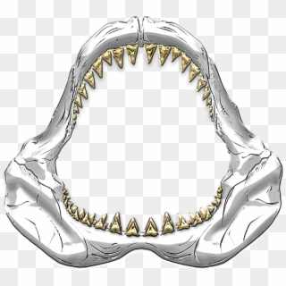 600 X 600 6 - Great White Shark Jaws Drawing Clipart