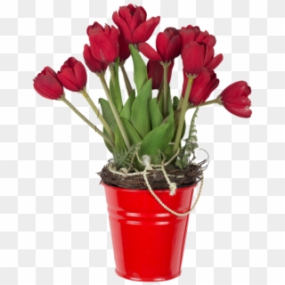 Red Tulips In Bucket - Chậu Hoa Hồng Png Clipart
