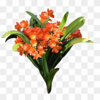 Bucket Flower Png - Transparent Orange Flowers Png Clipart