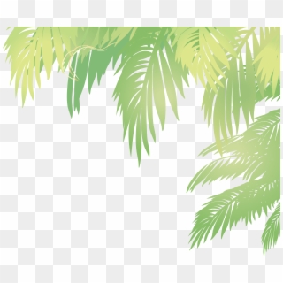 Green Palm Leaves Png Image - Palm Leaves Png Clipart (#30281) - PikPng