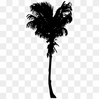 Free Download - Palm Tree Clipart