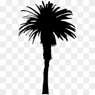 15 Palm Tree Silhouettes Png Transparent Background - Single Palm Tree Silhouette Clipart