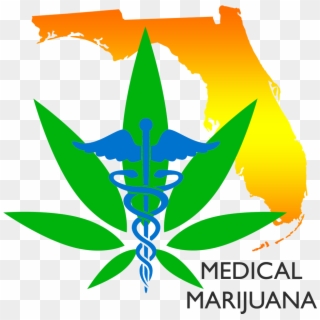 Going Green, A Journey Of Medical Cannabis - Transparent Silhouette Florida Outline Clipart