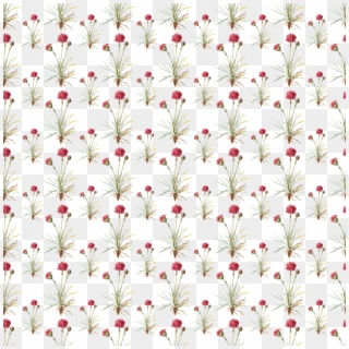 Digital Paper Overlay - Floral Design Clipart