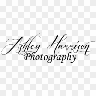 Ashley Harrison Photography - Calligraphy Clipart