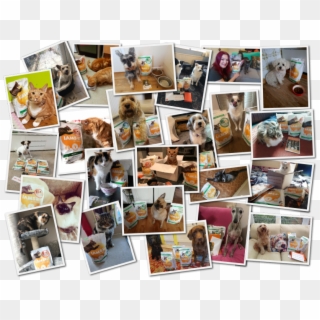 Our Team - Collage Clipart