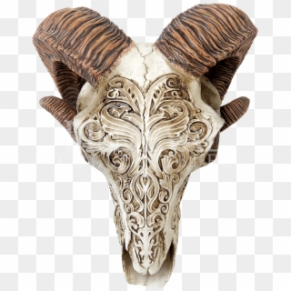 Scrimshaw Ram Skull , Png Download - Deer Skull Scrimshaw Clipart