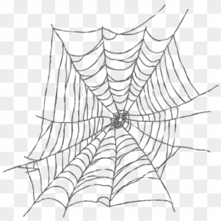 Imagen - Spiderman Web Clipart White - Png Download