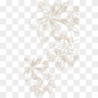 Background Flourish - Drawing Clipart