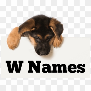Girl Names - Can Stock Clipart