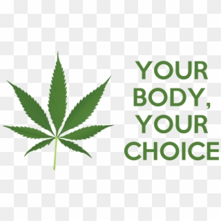 Hemp Cannabis Marijuana Yourbody Yourchoice Petition - Pot Leaf Clipart
