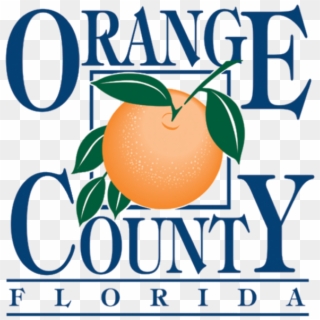 New Orange County Charter Review Commission Appointees - Orange County Fl Logo Clipart