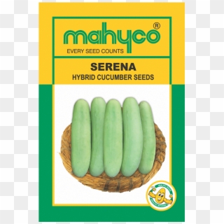 Mahy Serena - Mahyco Hybrid Chilli Seeds Tejaswini Clipart