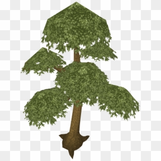 Image Result For Runescape Yew Tree - Yew Runescape Clipart