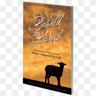 Behold The Lamb Messianic Passover Haggadah - Haggadah Clipart