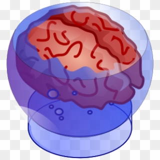 Bb Brain 612×554 Clipart