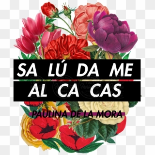 Paulina De La Mora Frases Clipart