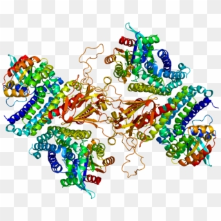 T Cell Lymphoma Invasion And Metastasis Inducing Protein - Tia 1 Protein Structure Clipart