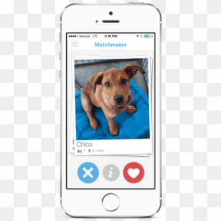 Social Media App Buffer Also Recently Released A “tinder - Barkbuddy App Clipart