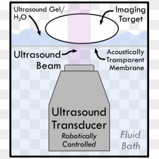 3d Ultrasound - Aei Clipart