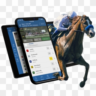 40/1 Odds On Any Horse To Win The Preakness $10 Fanduel - Horse Racing Mobile Clipart