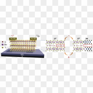 A Schematic Of The Molybdenum Disulfide Layers With Clipart