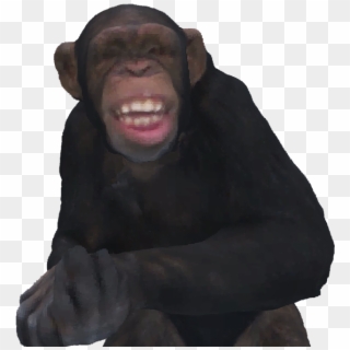 Oh No - Common Chimpanzee Clipart