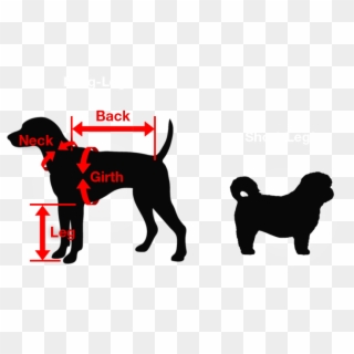 Sizes Are Divided Into Two Categories, One Designed - Love My Cat And Dog Clipart