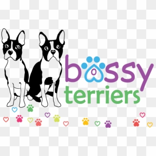 Bossyterriers - Boston Terrier Clipart