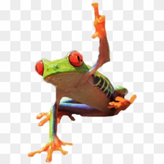Frog Flipping Off Camera - True Frog Clipart