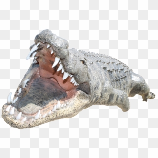 Crocodile Png - Png Crocodile Clipart