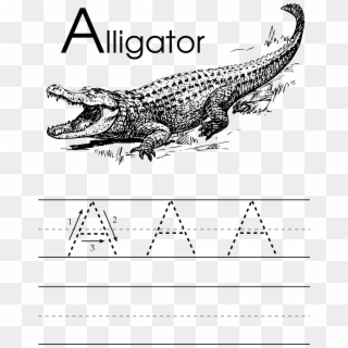 Open - Alligator Clip Art - Png Download