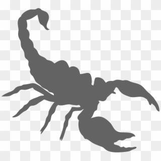 Scorpion Png , Png Download Clipart