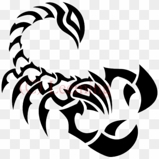 Scorpion Tattoos Png Png Image - Scorpion Tattoo Designs Png Clipart