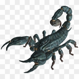 Scorpion - Fallout 4 Insecte Clipart