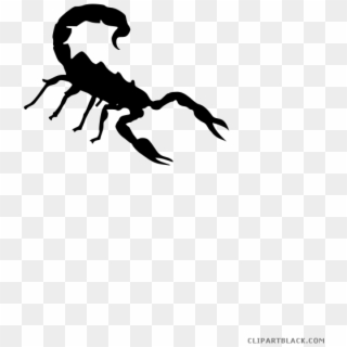 Scorpion Clipart Transparent - Free Scorpion Clipart Black And White - Png Download