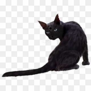 Black Cat Png Clipart - Black Cat Transparent Png