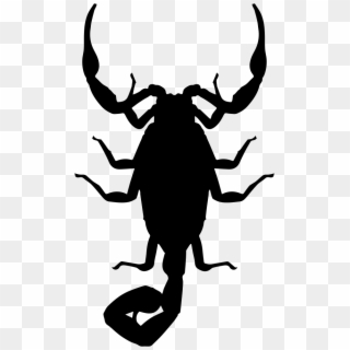 Png File - Scorpion Icon Png Clipart