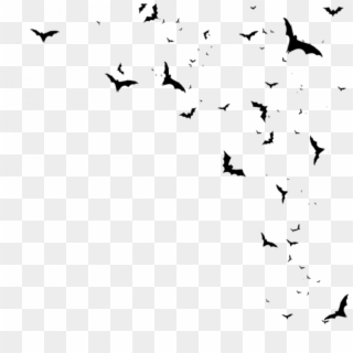 #bats #flying #birds #freetoedit - Png Bats Clipart