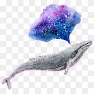 Galaxy Edit Challenge Tumblr - Png Whale Clipart