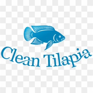 Cleantilapia Website - Bony-fish Clipart
