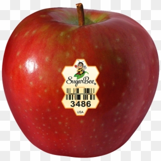 Apples Chelan Fresh Varieties - Sugar Bee Apple Clipart