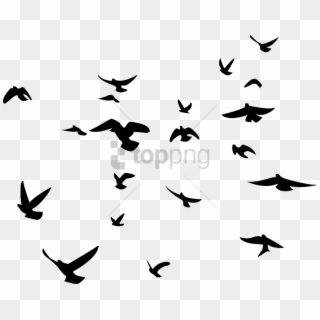 Free Png Black Birds Transparent Background Png Images - Black Bird Transparent Background Clipart