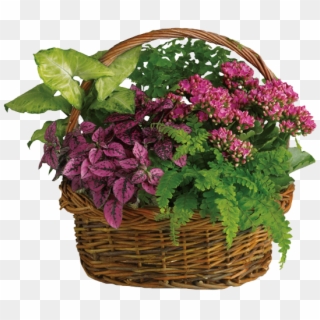 Blooming Plants In Wicker Basket - T96 2a Secret Garden Basket Clipart