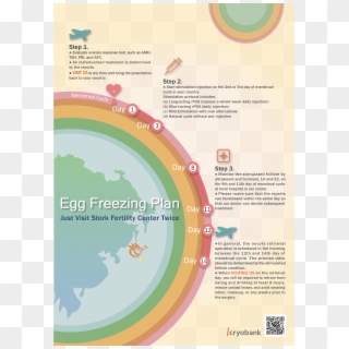 The Procedure Of Egg Freezing - Brochure Clipart