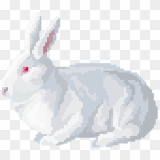 Rabit Sticker - Domestic Rabbit Clipart