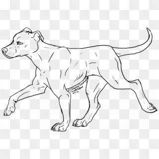 Pitbull Side View Drawing Clipart