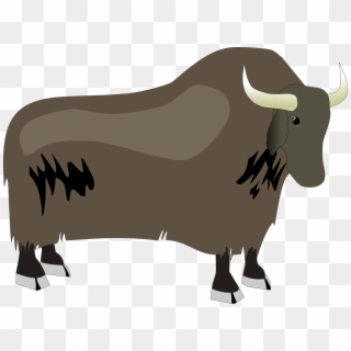 Bison Ox Yak Animal Wildlife Bull Large Mascot - Yak Vector Png Clipart